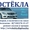 Автостёкла продажа-установка #17765